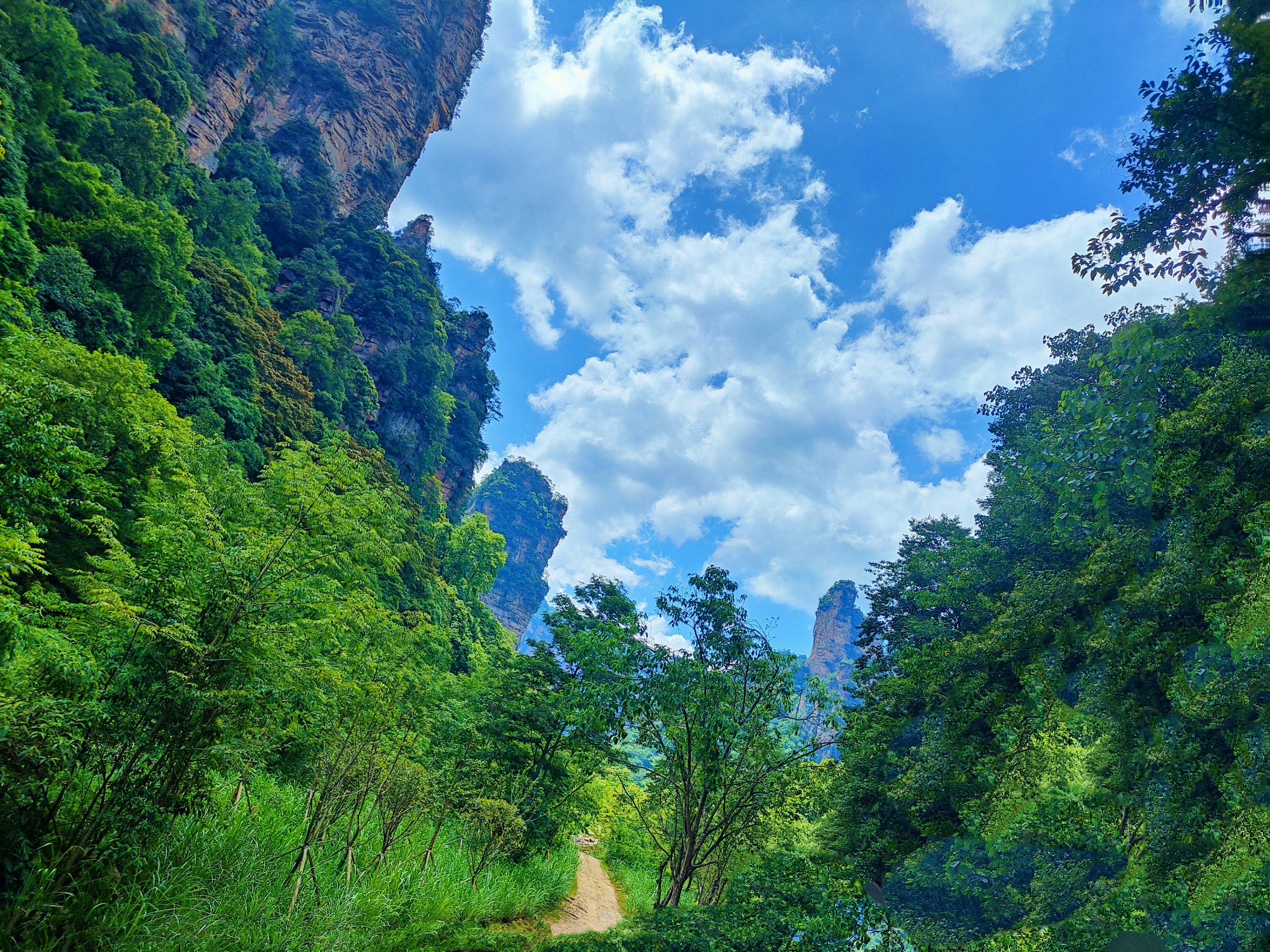 张家界风景